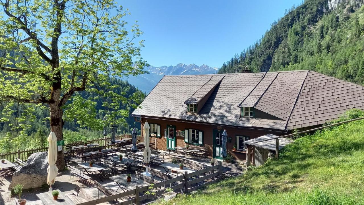 Pension Felsenheim Ramsau am Dachstein Ngoại thất bức ảnh