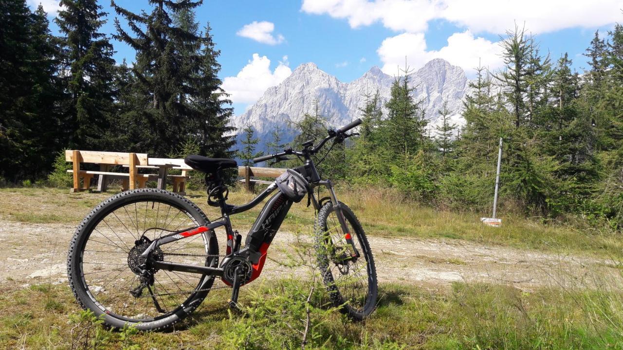 Pension Felsenheim Ramsau am Dachstein Ngoại thất bức ảnh