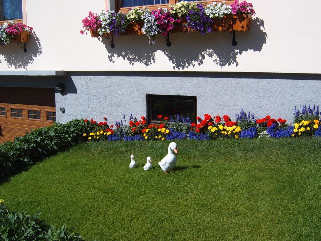 Pension Felsenheim Ramsau am Dachstein Ngoại thất bức ảnh