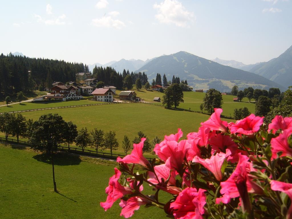 Pension Felsenheim Ramsau am Dachstein Phòng bức ảnh