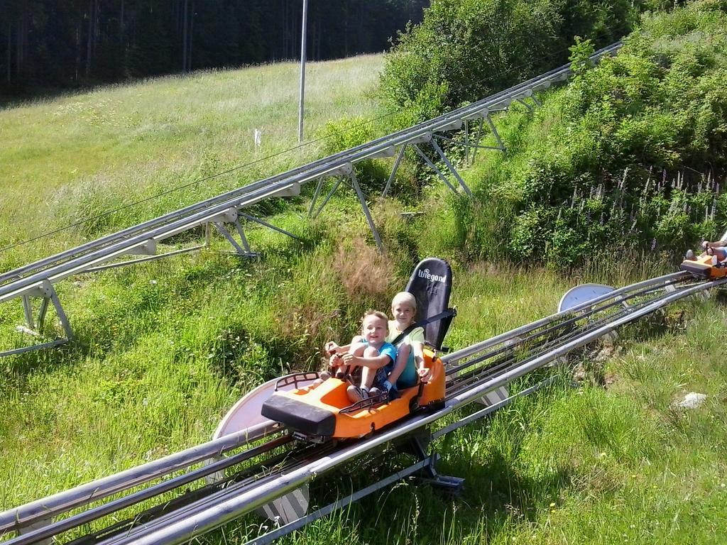 Pension Felsenheim Ramsau am Dachstein Ngoại thất bức ảnh